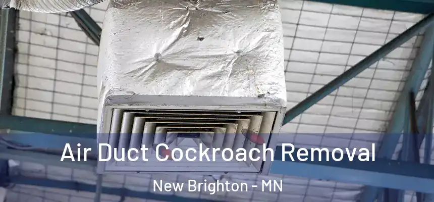  Air Duct Cockroach Removal New Brighton - MN
