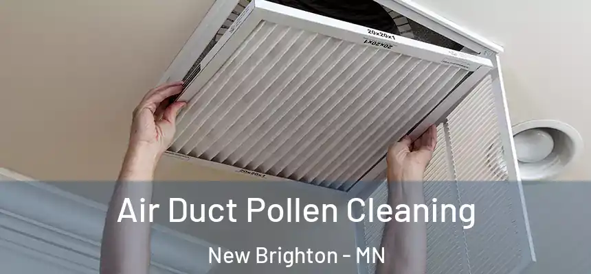  Air Duct Pollen Cleaning New Brighton - MN