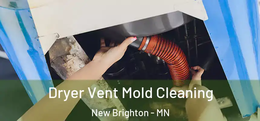  Dryer Vent Mold Cleaning New Brighton - MN