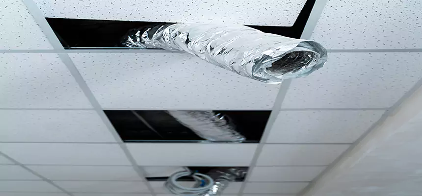 Affordable HVAC Sanitizing After Pest Removal in New Brighton