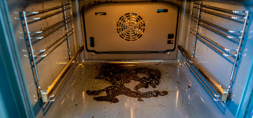 Our Dryer Vent Mold Cleaning Services in New Brighton, MN