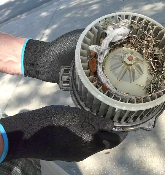 About Air Duct Mice Removal in New Brighton, MN