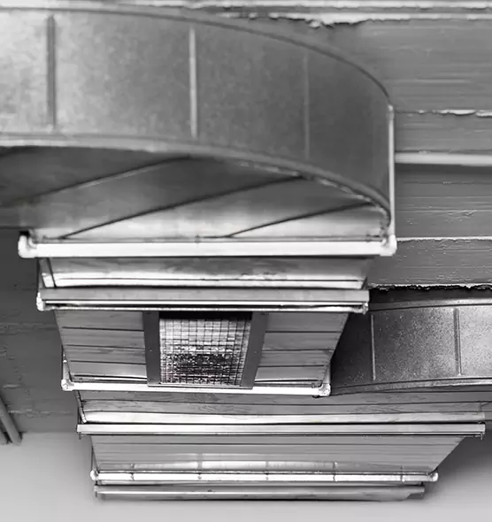 Professional Air Duct Pet Hair Removal in New Brighton, MN