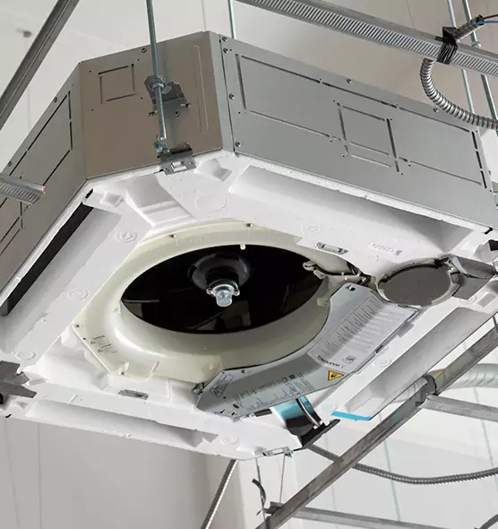 Professional Roof Vent Lint Removal New Brighton, MN