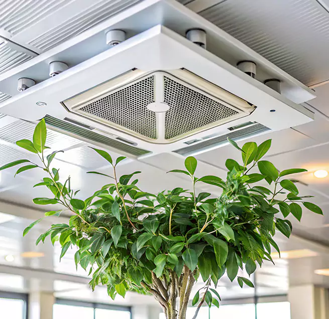 Why Homeowners & Businesses Trust Us in New Brighton, MN?